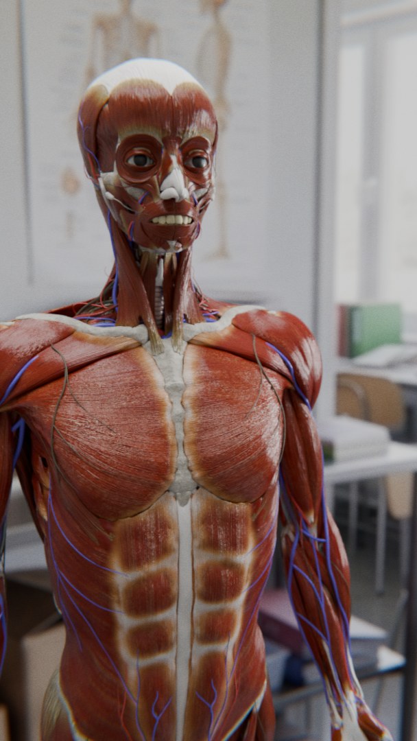 Rendu 3D Science & Tech